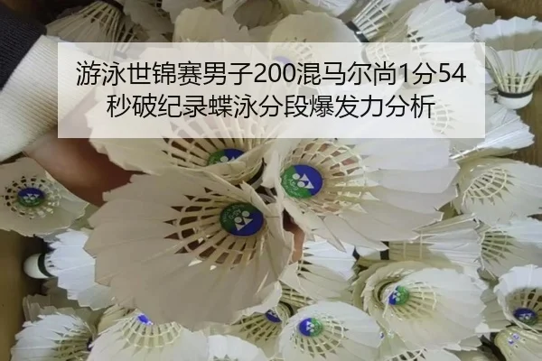 游泳世锦赛男子200混马尔尚1分54秒破纪录蝶泳分段爆发力分析